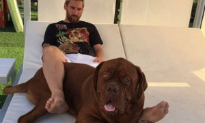 Ο τεράστιος σκύλος του Μέσι και η πόζα με τον γιο του Τιάγκο (pic)