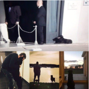 Συγκινητικές εικόνες: Η σκυλίτσα του Σάλα ήταν στο «τελευταίο αντίο»